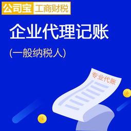 專業(yè)代理記賬服務(wù) 公司寶助您輕松應(yīng)對工商財稅事務(wù)