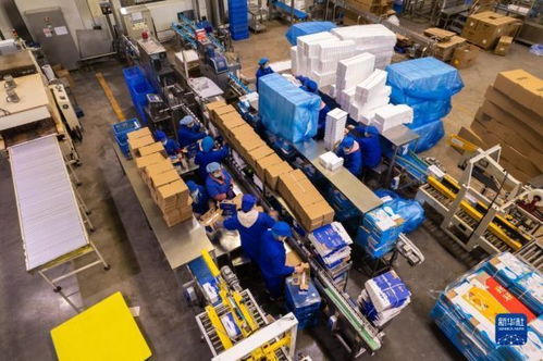 新華全媒 丨湖南寧鄉(xiāng) 食品企業(yè)加工忙