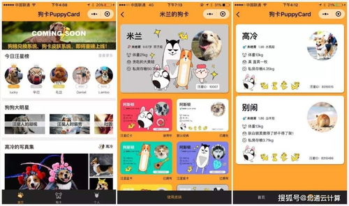 寵物商城小程序制作開(kāi)發(fā)最快多久能上線